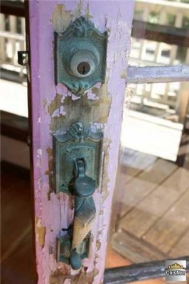 鳟鱼之家详细