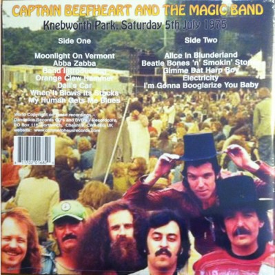 Live-At-Knebworth-Park-Ozit-Back-Sml