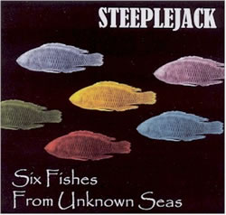 steeplejack_cover