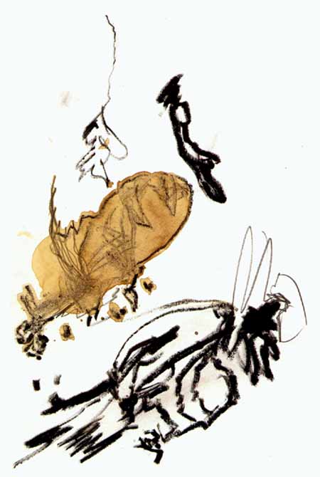 无标题，1988 b