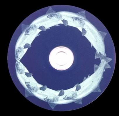 merseytroutcd